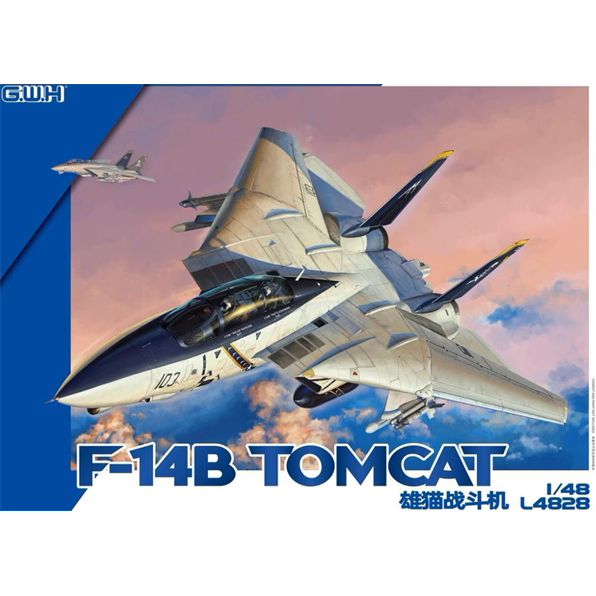 F-14B Tomcat US Navy